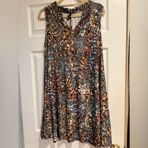 Deborah Viereck print swing dress.